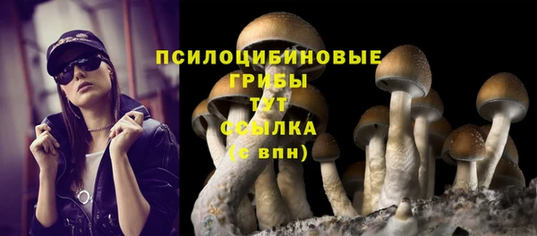 дживик Белокуриха