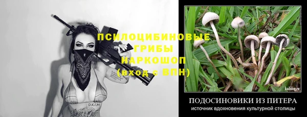 дживик Белокуриха