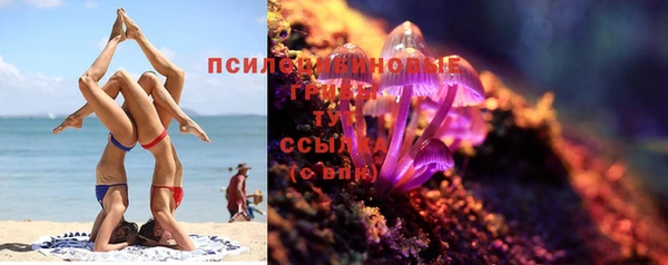 дживик Белокуриха