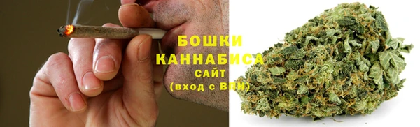 дживик Белокуриха