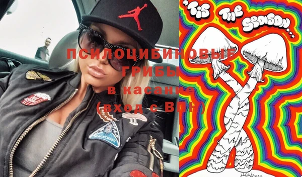 дживик Белокуриха