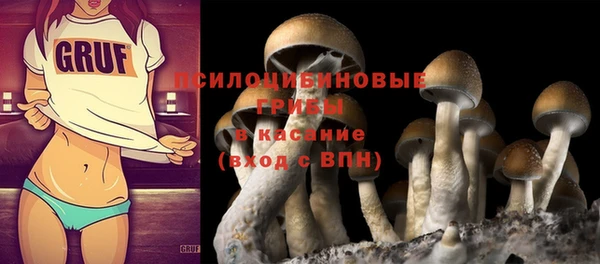 мдпв Белоозёрский