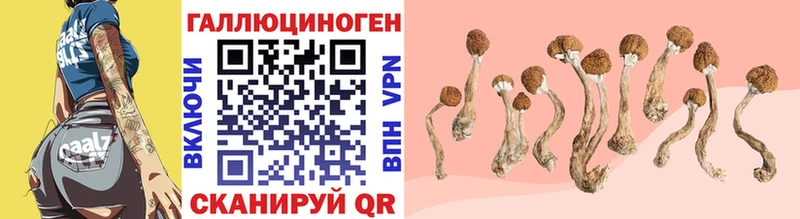 Галлюциногенные грибы MAGIC MUSHROOMS  закладка  Козьмодемьянск 